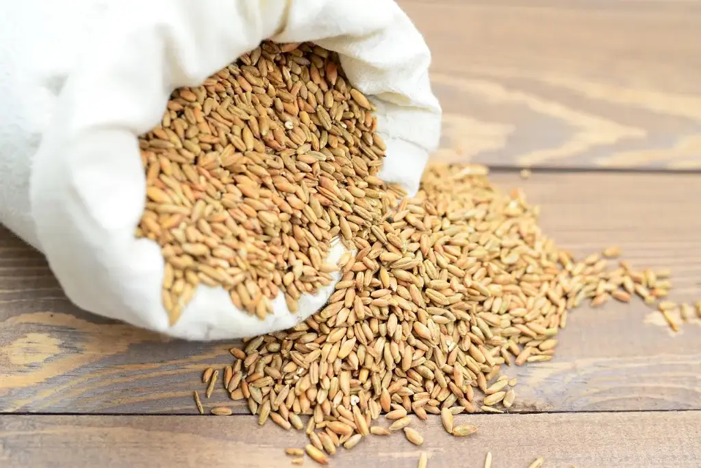 Mennoniten  Weizenkörner / Naturale / 30Kg