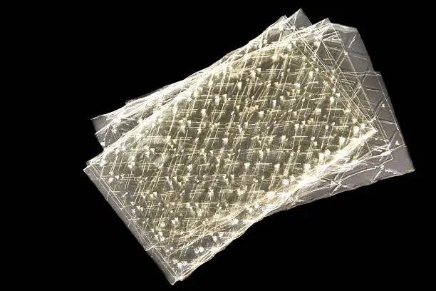 Leaf gelatin / organic / 1kg