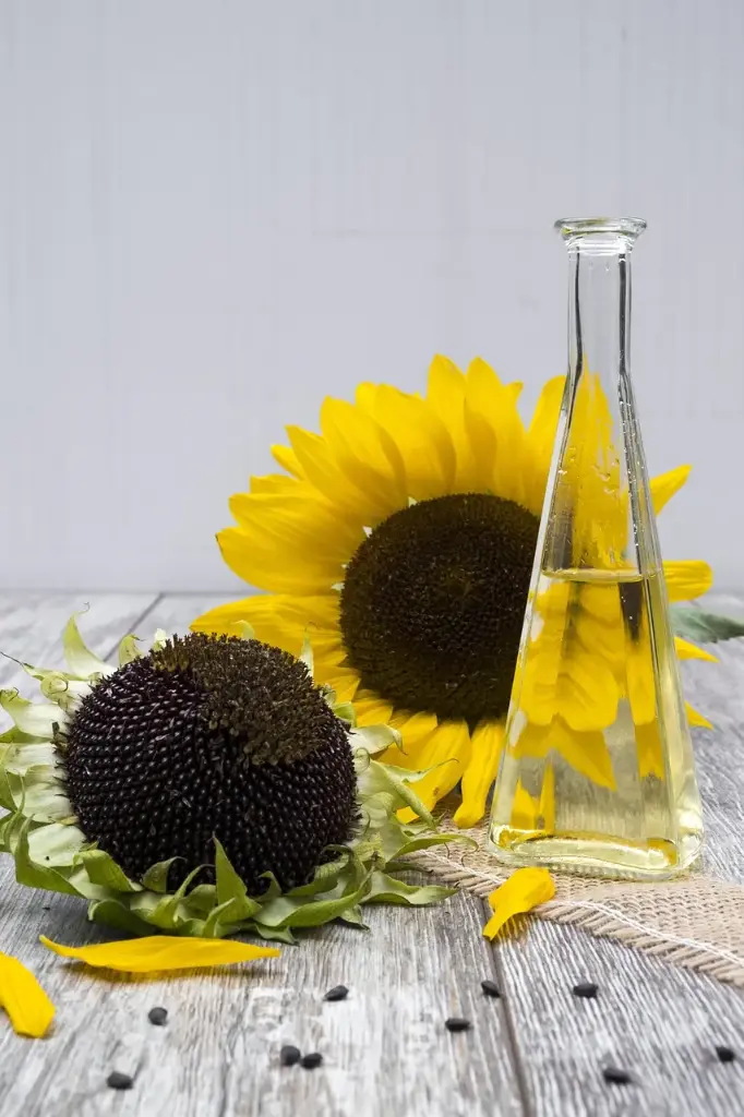 Aceite de girasol HIGHOLEIC / orgánico / 10L
