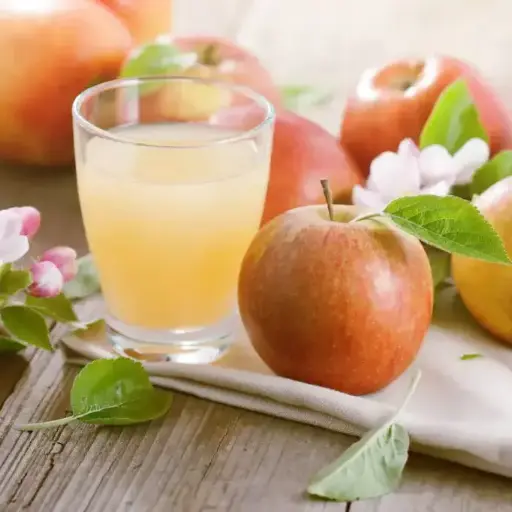 [PV.2101.B10] Vinagre de manzana turbio / orgánico / 10L