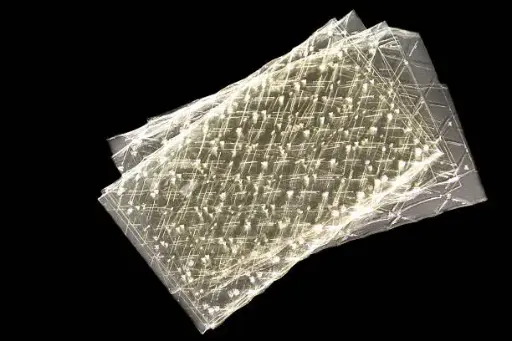 [PV.2143.RP] Leaf gelatin / organic / 10g