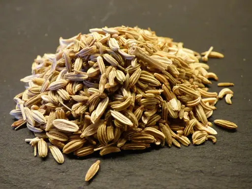 [PV.1310.RP] Fennel seeds / Organic / 100g