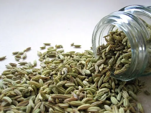 [PV.1310.B25] Fennel seeds / organic / 25kg