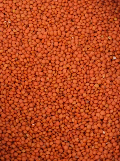 [PV.1204.B25] Red lentils / organic / 25 kg