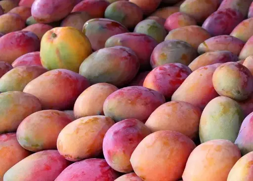 [PM.5211.RM] Mango jam from the granja / organic / 650g