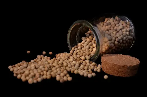 [PV.1843.B1] White pepper whole / organic / 1kg